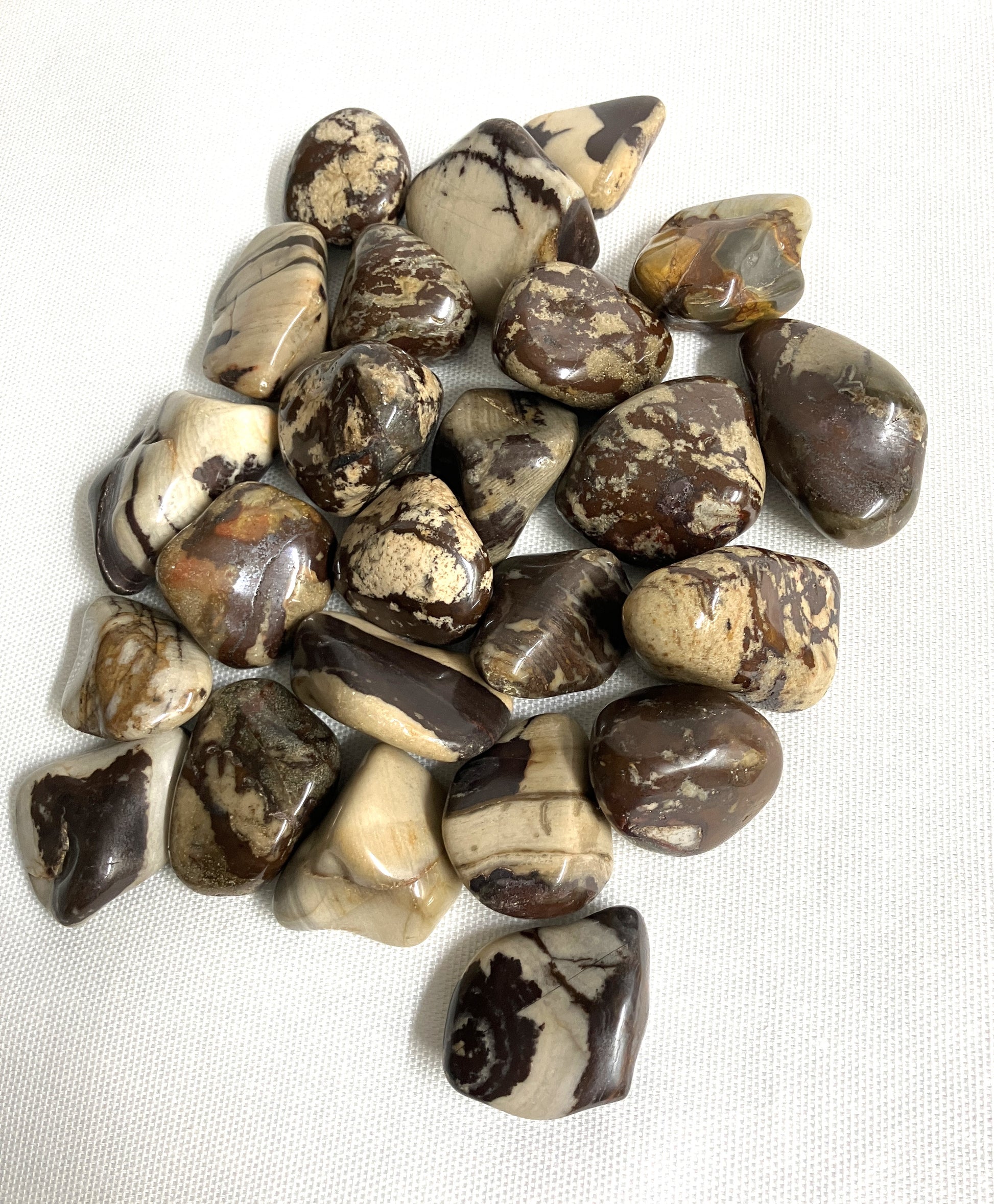 Group of Nguni Jasper Crystals showing the colors and patterns on a white background