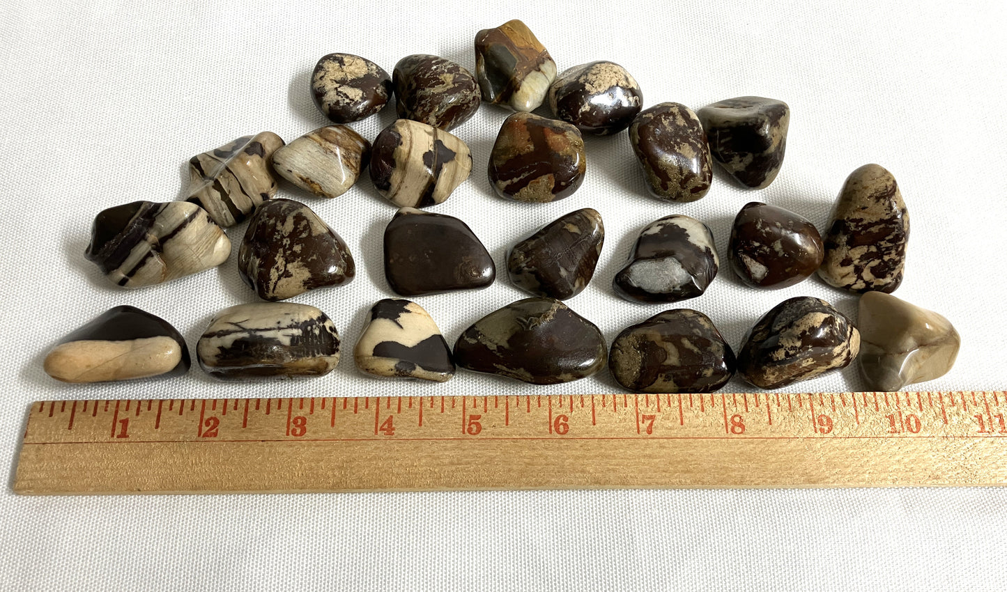 Collection Nguni Jasper Crystals with a ruler for scale on a white background