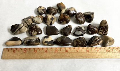 Collection Nguni Jasper Crystals with a ruler for scale on a white background