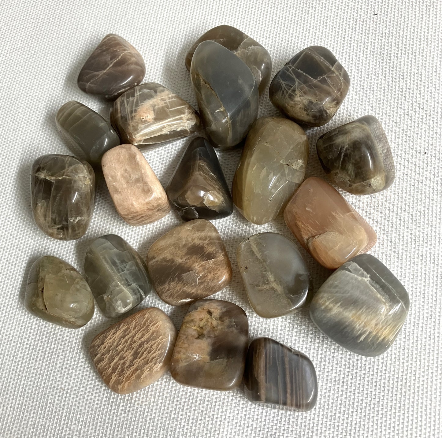 Top side of Black Moonstone Crystals on a textured white surface
