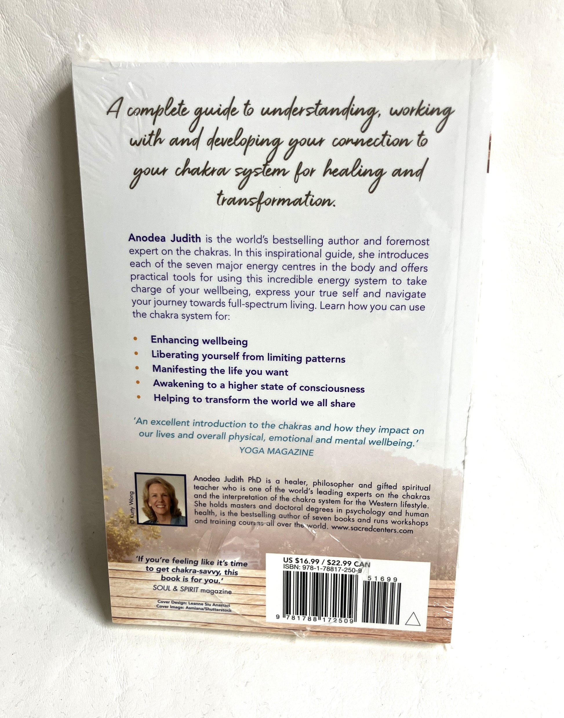 Learn how you can use the Chakra system