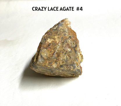 Crazy Lace Agate Specimen #1